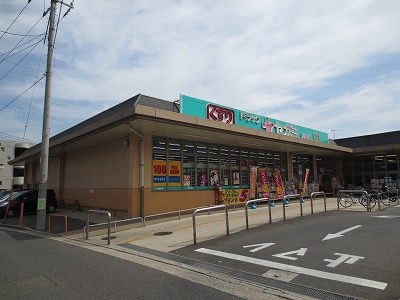 アルカディア高井 ドラッグストア