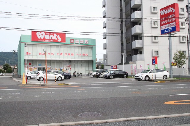 グレイス米田 ドラッグストア
