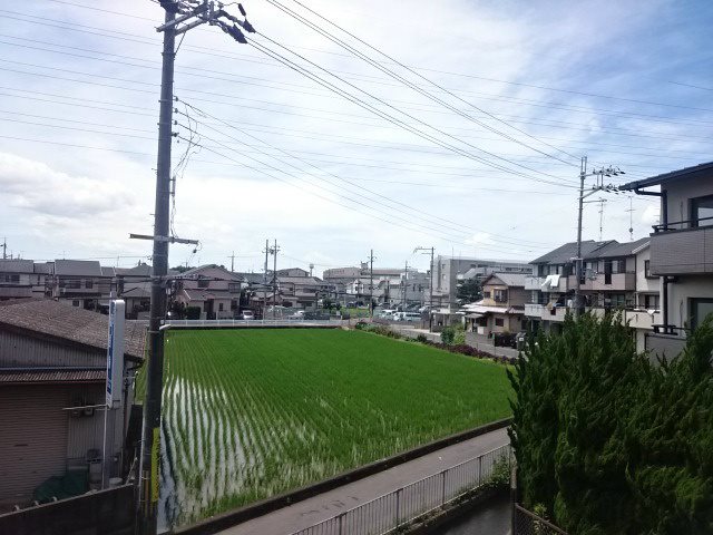 Sun Silk 眺望