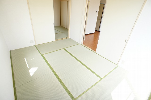 エバーグリーンコート その他部屋・スペース