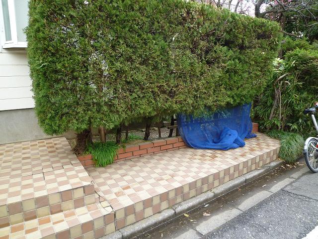 ホワイティ－柿の木坂 その他外観3