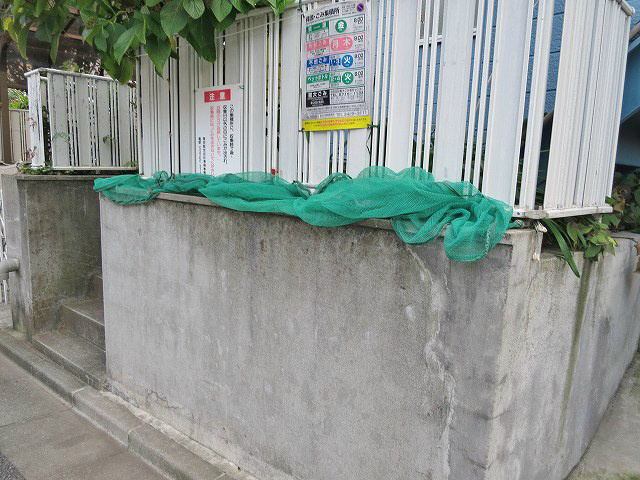 プチルキュルス その他外観5