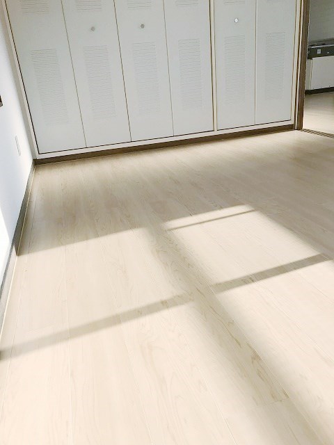 プチルキュルス その他12