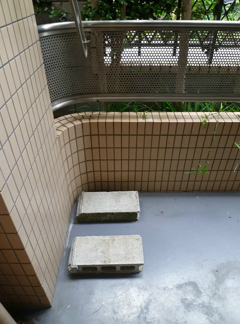 みすゞ碑文谷マンション ベランダ