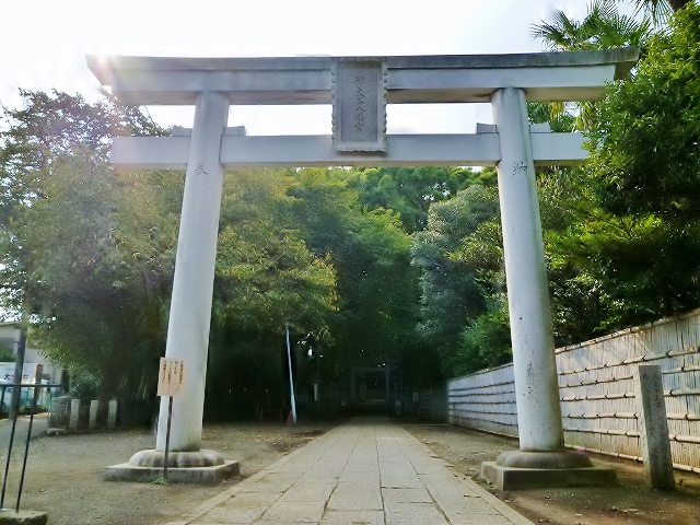 南２丁目貸家Ⅲ（旧逸見宅） 周辺画像4