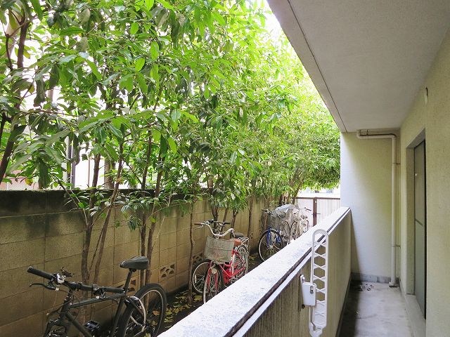 パーシモンコート その他3