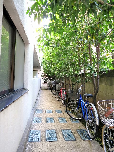 パーシモンコート その他外観4