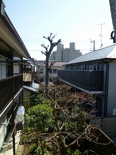 千田方 その他3