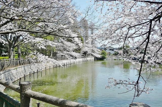 アーバンエアリネス碑文谷 周辺画像7