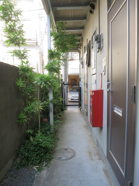 ペガサス学芸大 その他外観2
