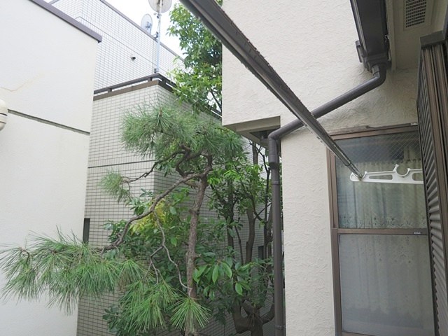 ペガサス学芸大 その他3