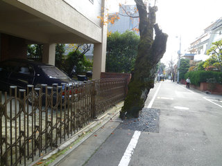 雅楓ハイツ(駐車場) その他外観2