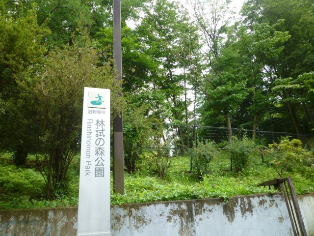 シイバシハイツ 周辺画像6