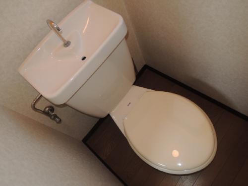 アミニティビックワン トイレ