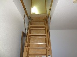 アミニティビックワン その他
