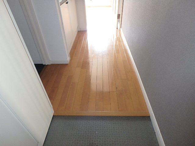 千代田タワーマンション 玄関