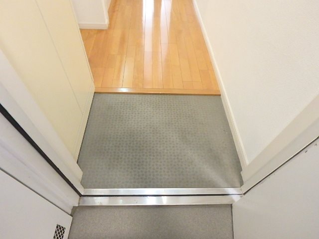 千代田タワーマンション 玄関