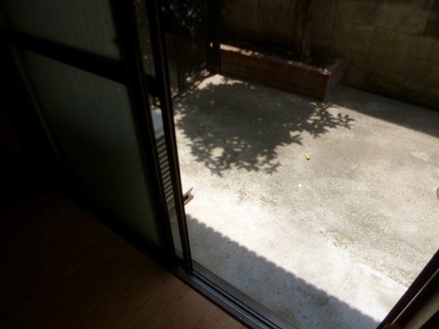 ヴィラハイム高円寺 ベランダ