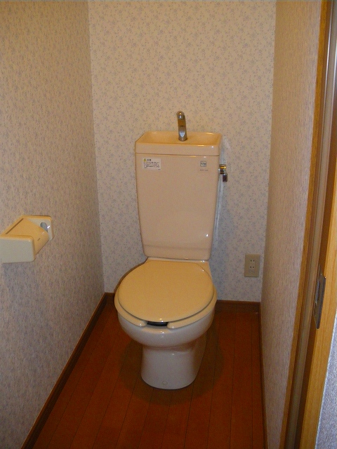 アンジュ その他