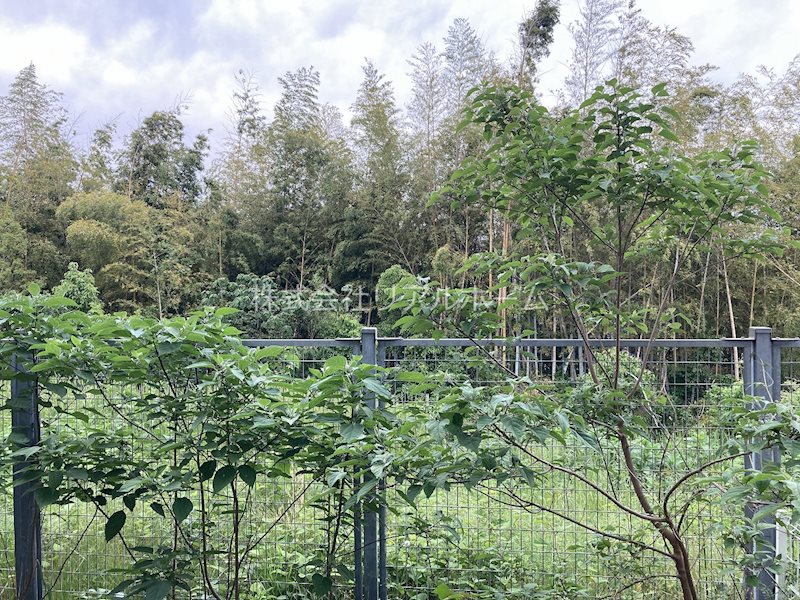 サンサウスヒル竹田 その他5