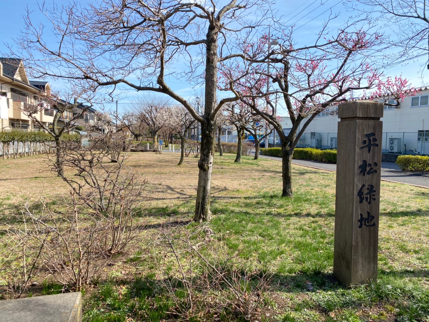 ランビニオン 公園