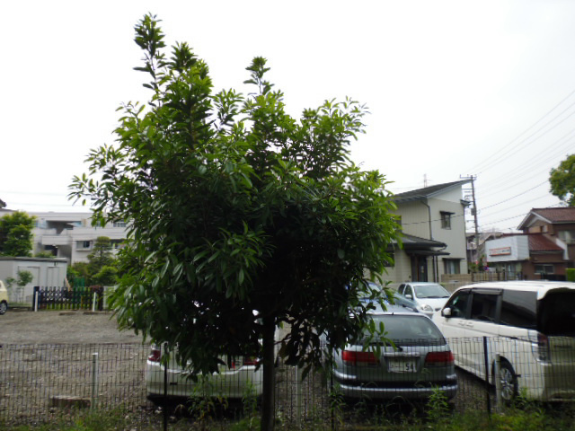 その他8