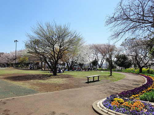 新川崎貳阡 周辺画像2