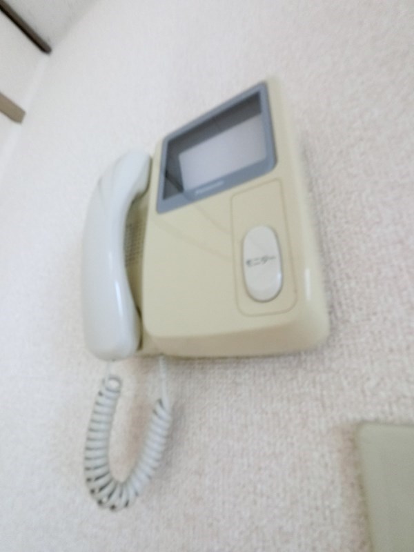 その他1