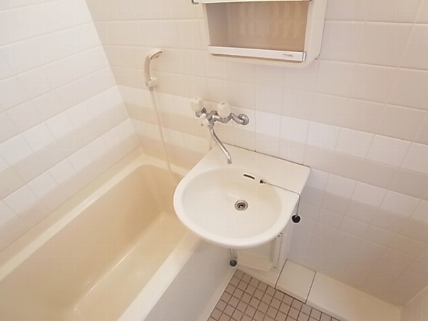 ロマネあけぼの その他2