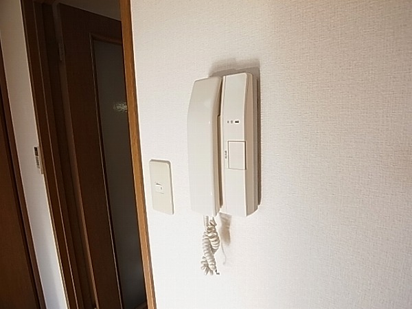 ロマネあけぼの その他4