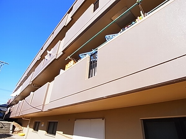 ピュアコート柏 その他外観5