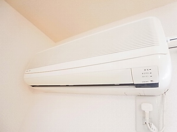 ベルドムールCTD その他5