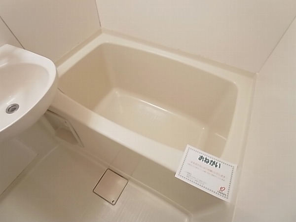 シーズン・リッチヒルズ その他12