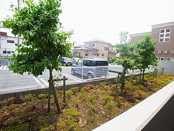 ルピナスⅡ その他4