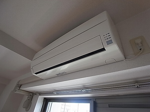 ルピナスⅡ その他6