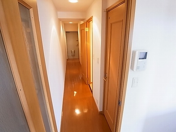 ルピナスⅡ その他12