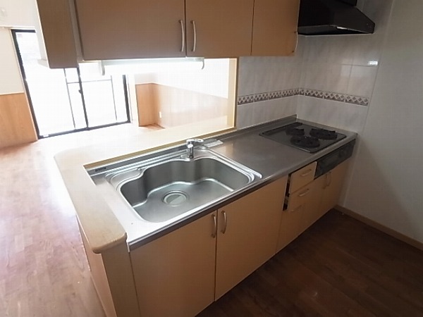 サンタバレー弐番館 その他20