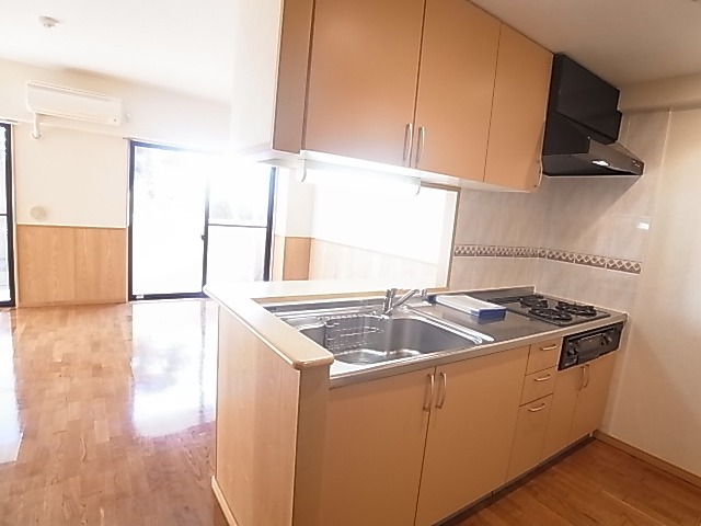 サンタバレー弐番館 キッチン