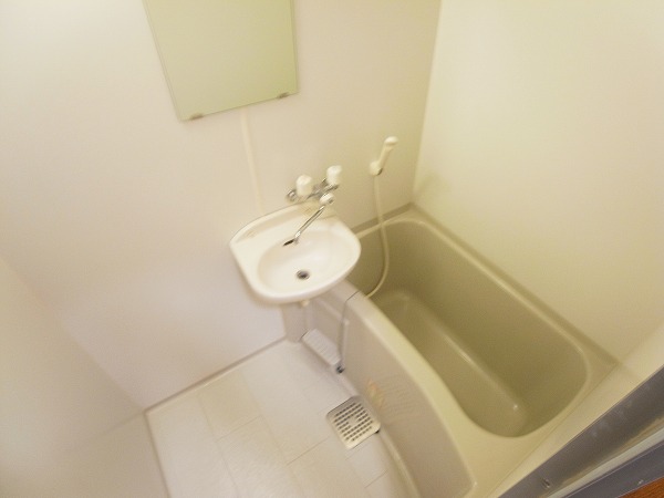 アムールグリーンビレッジⅢ 風呂画像