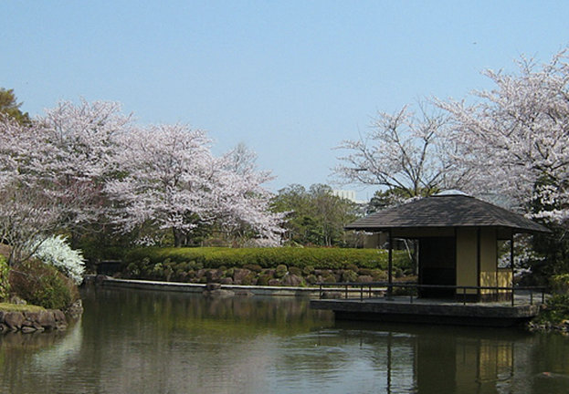 サンシャイン柏の葉 周辺画像6