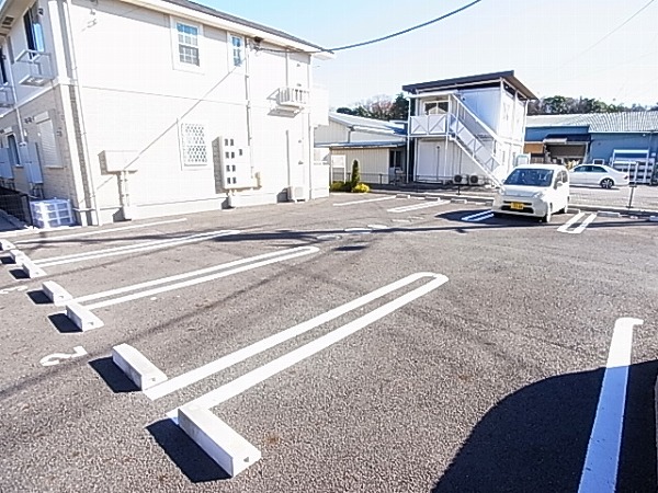 ビオラ その他外観5
