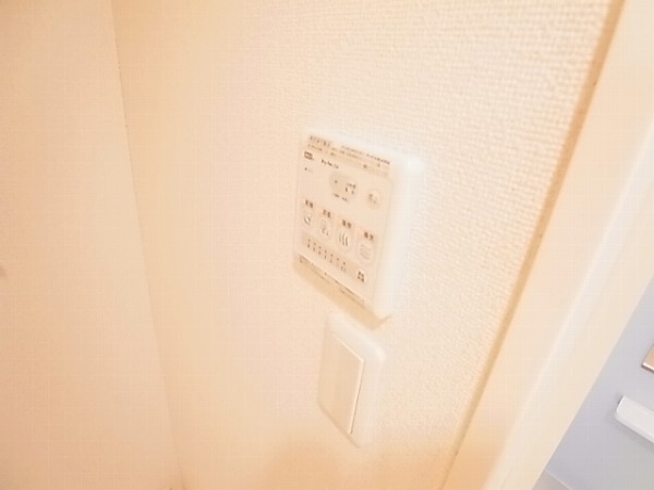 ビオラ その他7