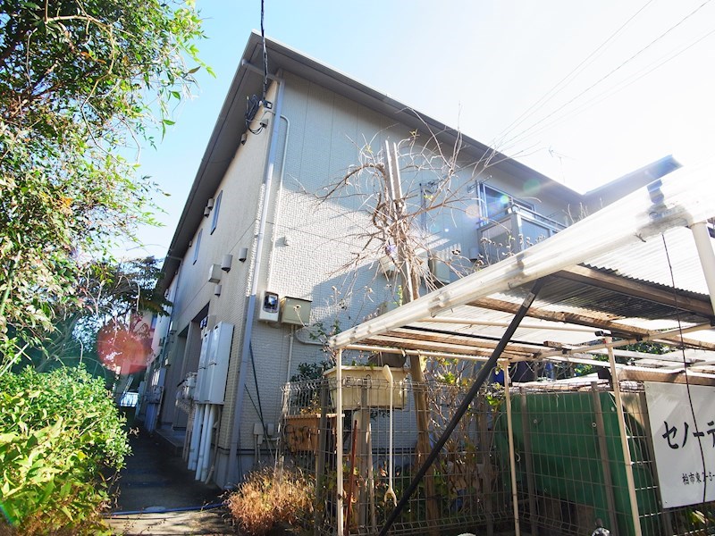 セノーテ 203号室 外観