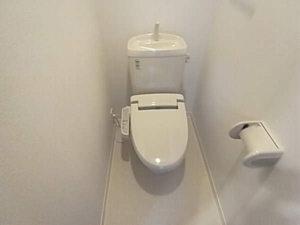 セノーテ その他1