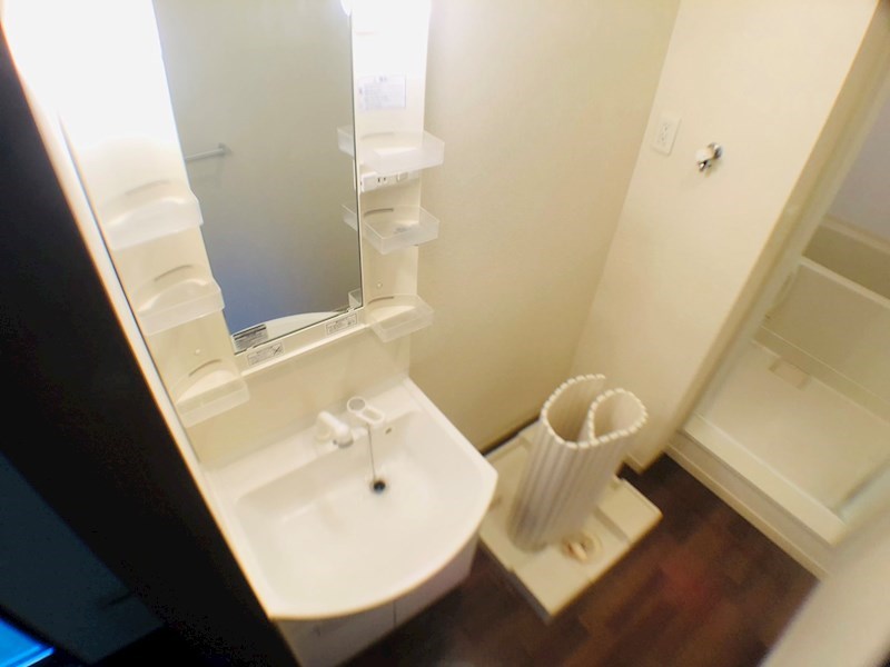 セノーテ その他2