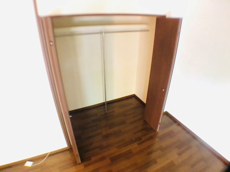 セノーテ その他3