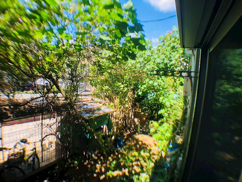 セノーテ その他5