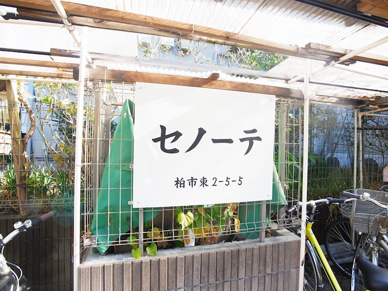 セノーテ その他外観5