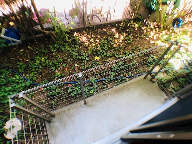 セノーテ その他10