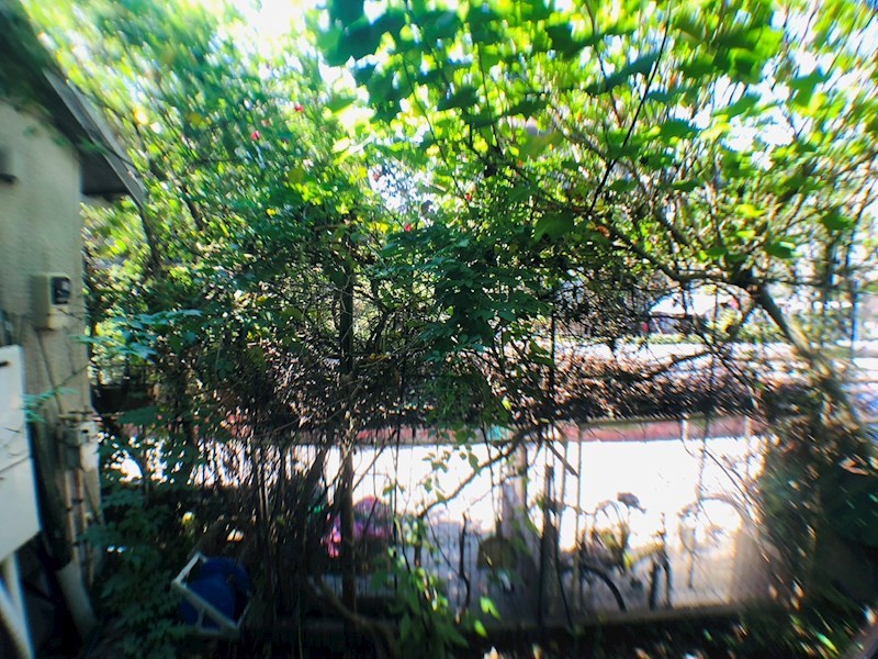 セノーテ その他22